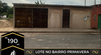 Lote | Pimavera | LT-V/2550